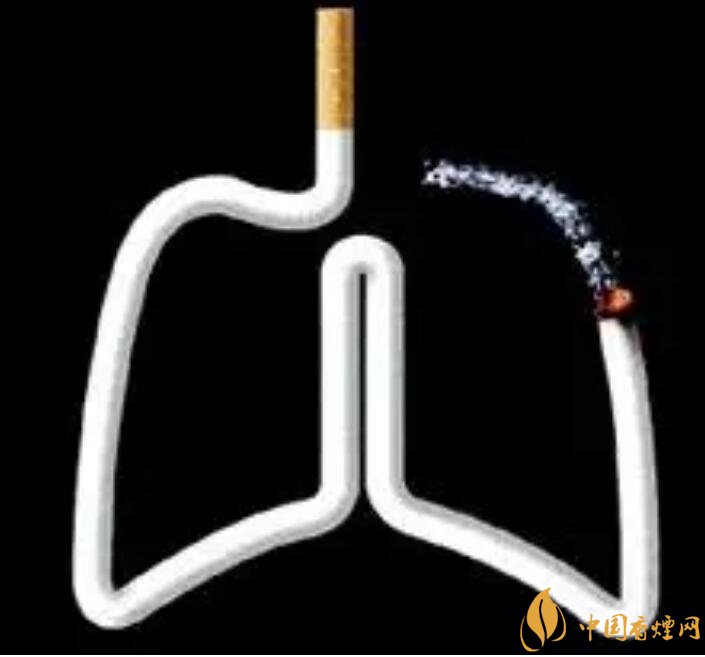 一天抽几根烟合适,一天一包烟患癌几率大