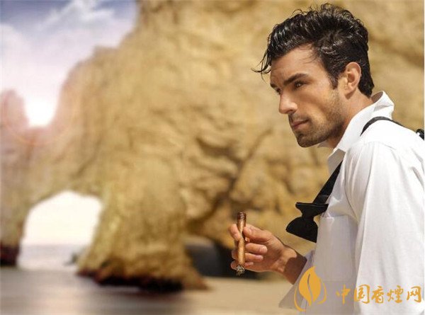 大卫杜夫雪茄怎么样 大卫杜夫尼加拉瓜罗伯斯特托保斯雪茄好抽吗