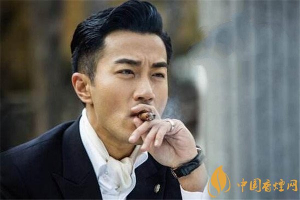 大卫杜夫雪茄怎么样 大卫杜夫温斯顿丘吉尔政治家好抽吗