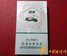 荷花香烟爆火的原因 荷花香烟口感怎么样
